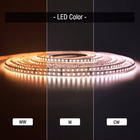Preço mais baixo de venda de fábrica CE RoHS Indoor Office Home Landscape Tira LED Light Flexível LED Strip Light